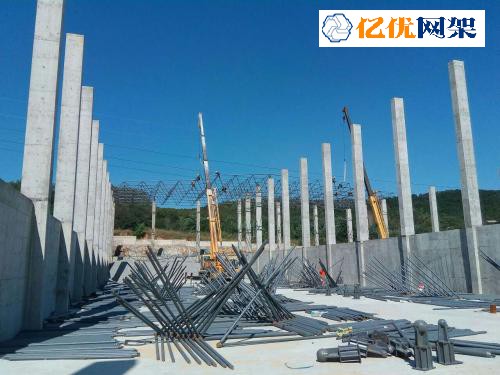 菏泽料棚网架设计